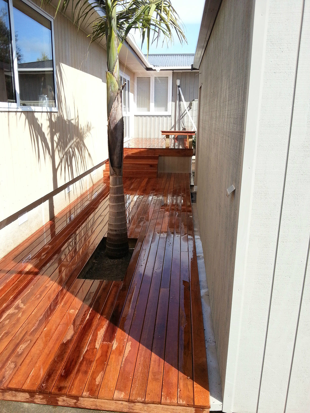 Deck with tree